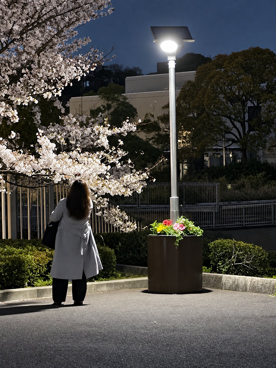 夜桜のそばで参道を照らす防災防犯ライト